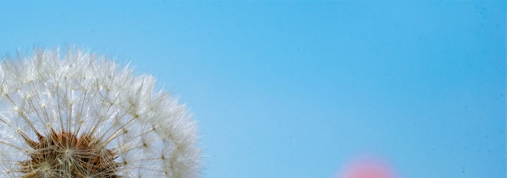 项目旨在通过捕捉来自天体和地球大气核